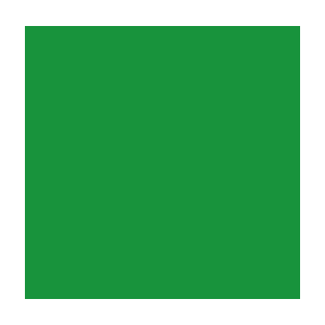 Color Code Labels - squares 2½" x 2½" (green) 500/RL