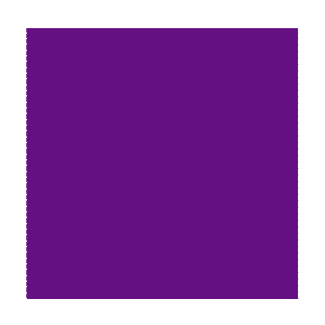 Color Code Labels - squares 2½" x 2½" (purple) 500/RL
